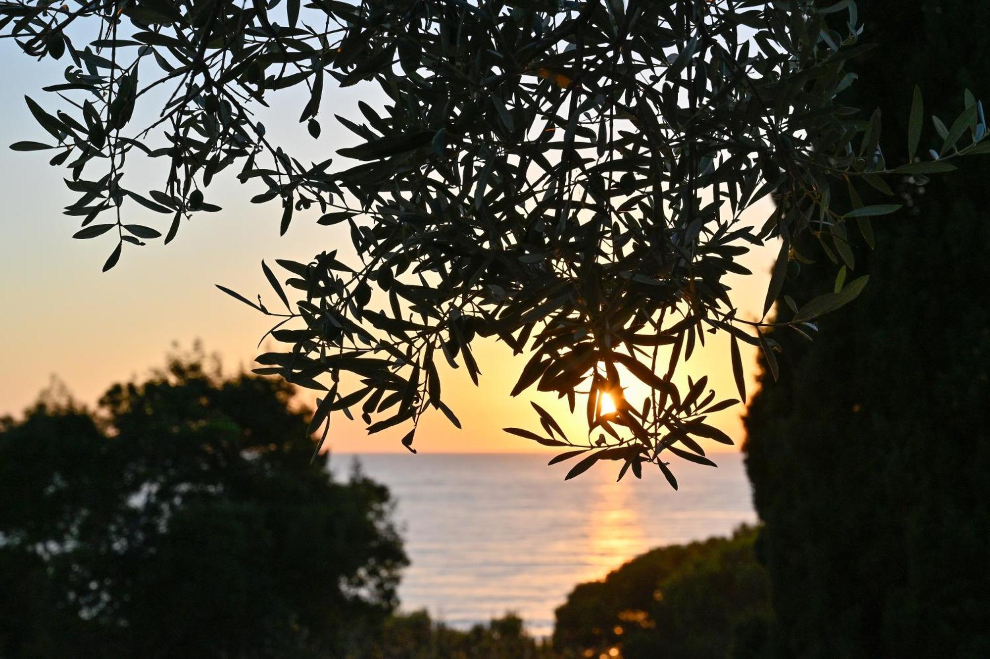 Albeca Boutique Hotel - Relais De Charme Sul Mare 카스텔라바테 외부 사진